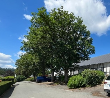Schützenhalle