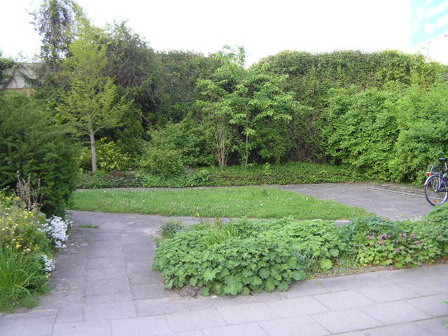 P5210017.JPG