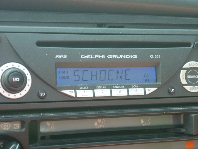 RDS_1.JPG