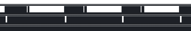 ver1.png