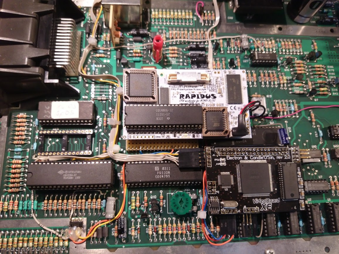 rapidus2.JPG