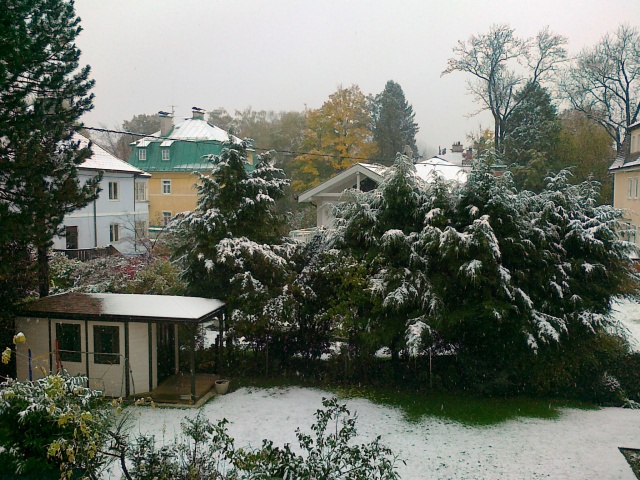 schnee.jpg