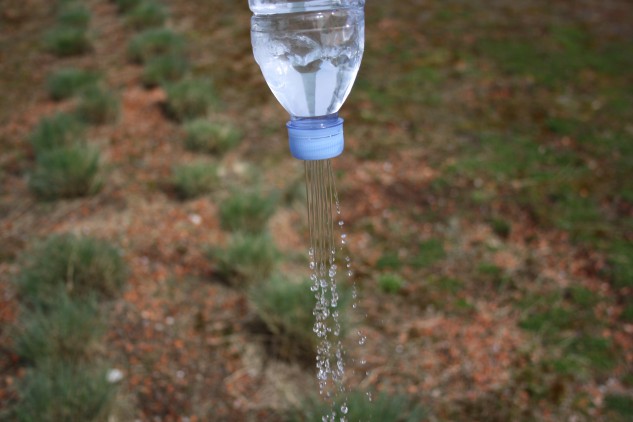 pet-flasche-dusche.jpg