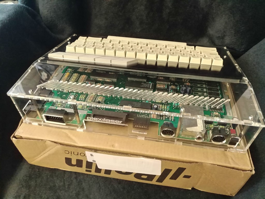 IMG-20251109-WA0008 (1024 x 768).jpg